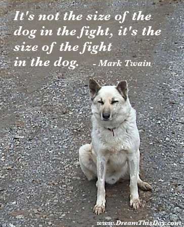 Funny Dog Quotes - Funny Quotes about Dog